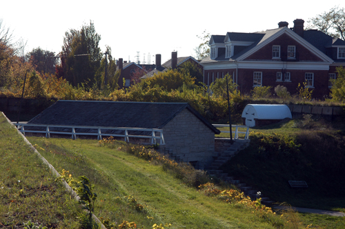 Winning the fight against overgrowth